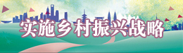 實施鄉村振興戰略
